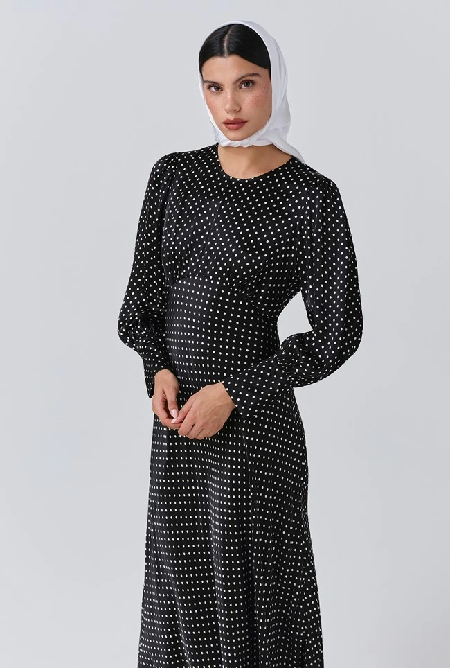 Fiona Satin Polka Dot Midi Dress Fiona Satin Polka Dot Midi Dress -Ghost Store D11G020 Z14 33939 650px